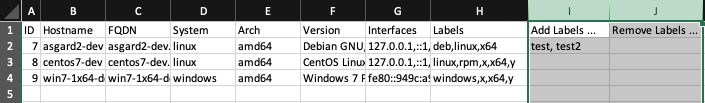 Asset Labeling via CSV